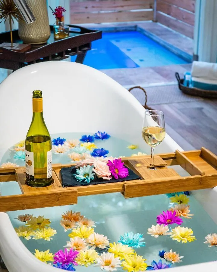 Apartment Casa Loba Suite 3 With Private Pool And Tub Rincon Puerto Rico