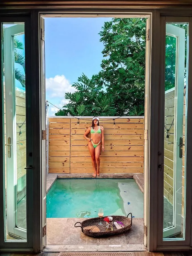 Casa Loba Suite 3 With Private Pool And Tub Rincon Puerto Rico